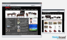 北京網站建設案例展示 洞察行業趨勢，打造卓越數字形象
